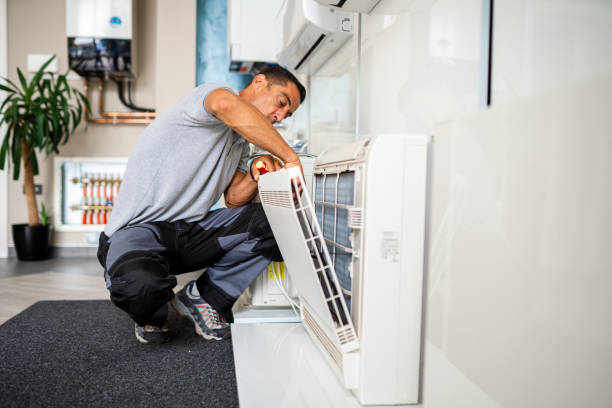 Air Duct Mold Removal in Royersford, PA